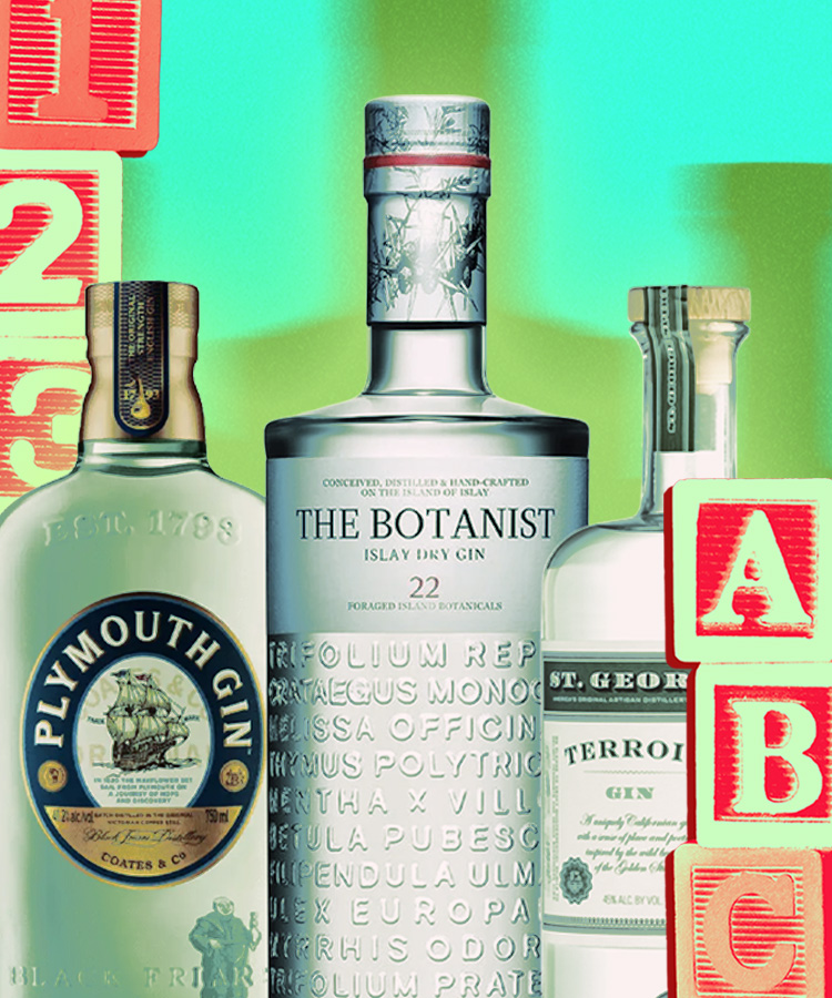 We Asked 15 Bartenders: What’s the Best Gin for Beginners?