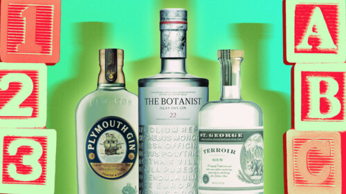 We Asked 15 Bartenders: What’s the Best Gin for Beginners?