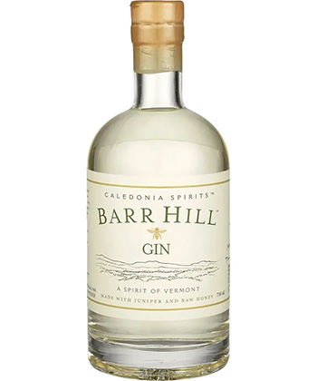 Barr Hill is one of the best gins for beginners, according to bartenders.