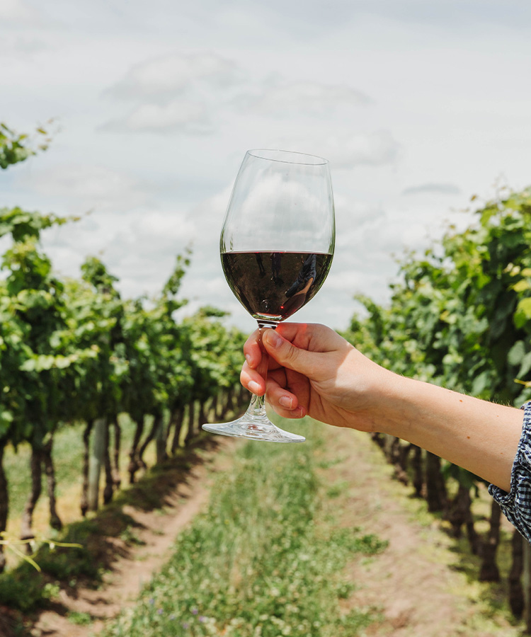 VinePair Chats With Sommelier and Beverage Director Amy Racine on Uruguay Wine