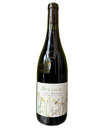 Âmevive Gamay 2024 is one of the best Thanksgiving wines for 2025.