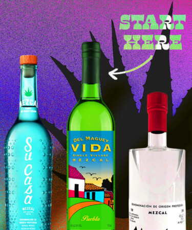 We Asked 15 Bartenders: What’s the Best Mezcal for Beginners?