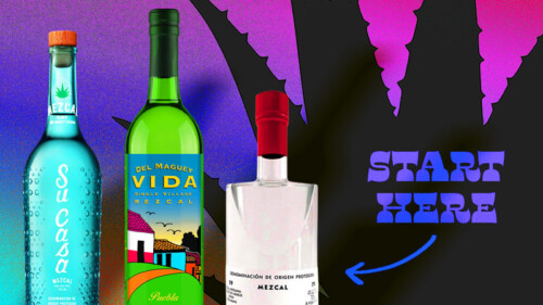 We Asked 15 Bartenders: What’s the Best Mezcal for Beginners?