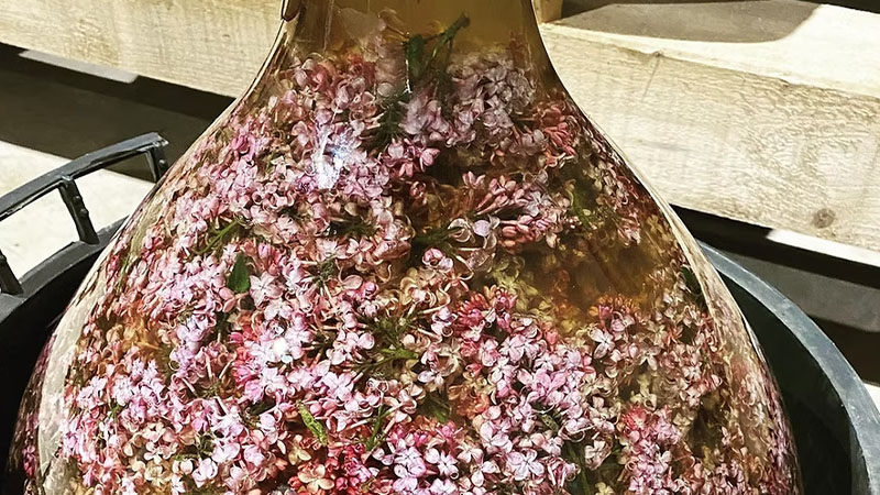 Wunderkammer Biermanufaktur is one of the best breweries in the country right now.