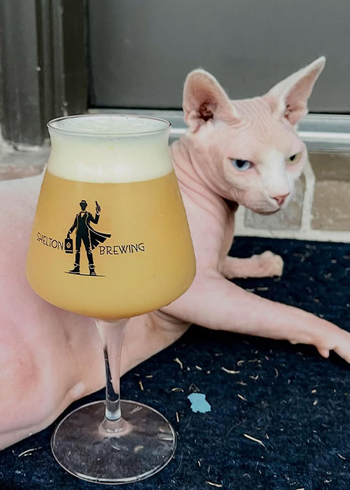 Shelton Brewing is one of the best new breweries for 2025, according to beer pros. 