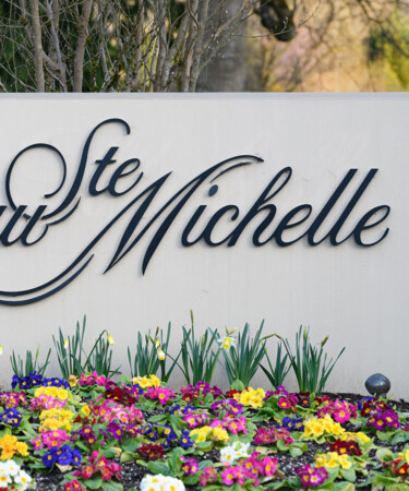 Ste. Michelle Wine Estates Sold to Washington-Based Agribusiness Family