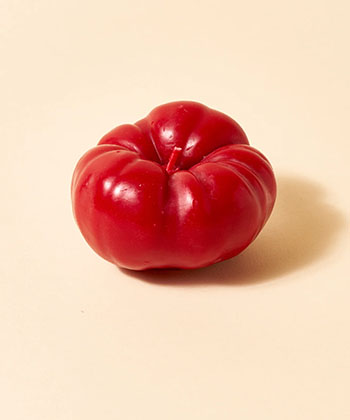 Heirloom Tomato Candle is one of the best holiday drinking gifts for 2025.