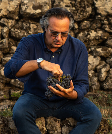 Your Feast of the Seven Fishes Needs Piccini Wines