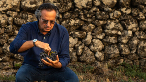 Your Feast of the Seven Fishes Needs Piccini Wines