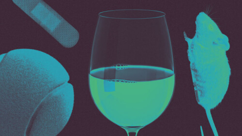 15 Unconventional Wine Terms, Explained