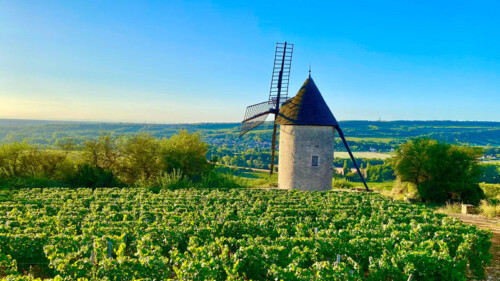 The Burgundy Villages With the Most Grand Cru Vineyards [Infographic]