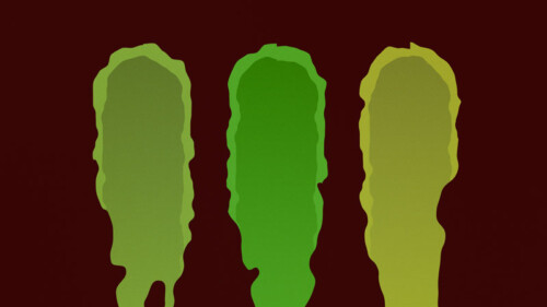 Do Matcha Grades Actually Mean Anything?