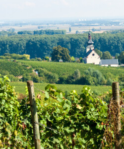 Rheinhessen Is Leading the German Wine Revolution. Here are 5 Producers to Know.