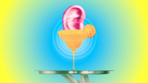 We Asked 11 Bartenders: What Cocktail Order Tells You the Most About a Guest?