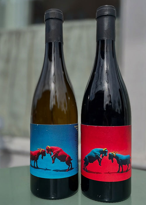 Agrícola Calcárea is a winemaker to watch in 2026.