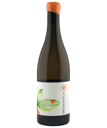 Drosophila Blanco will be a flex wine for 2026, according to sommeliers.