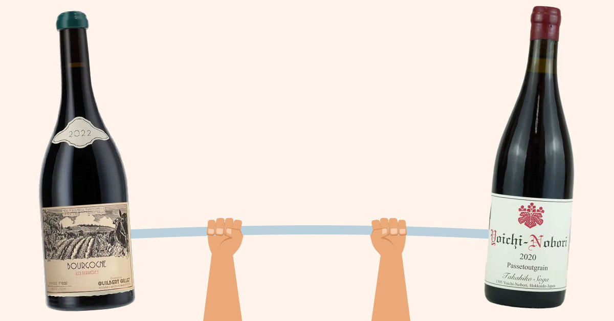 The Flex Wine Bottles of 2026, According to 16 Sommeliers