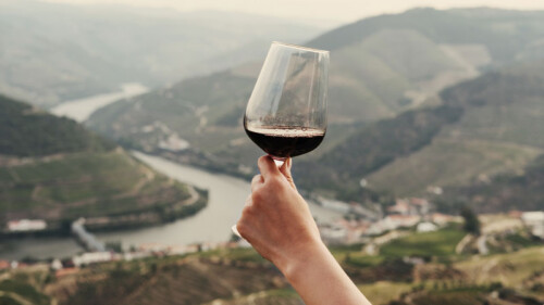 Portugal’s Major Wine Regions, Mapped