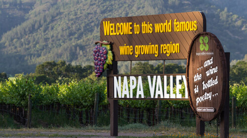 We Asked 9 Sommeliers: Which Napa Cab Is Worth the Splurge?