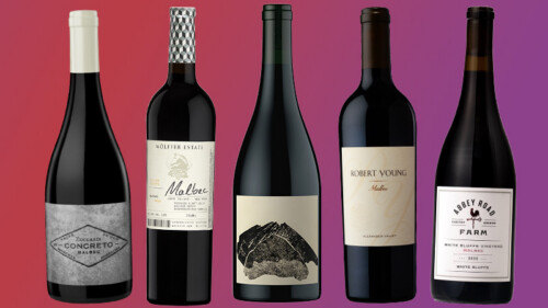 The 18 Best Malbecs for 2026