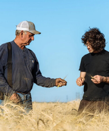 This Napa Brewery Uses the Same Grain as the World’s First Pilsner
