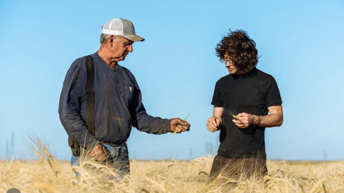 This Napa Brewery Uses the Same Grain as the World’s First Pilsner