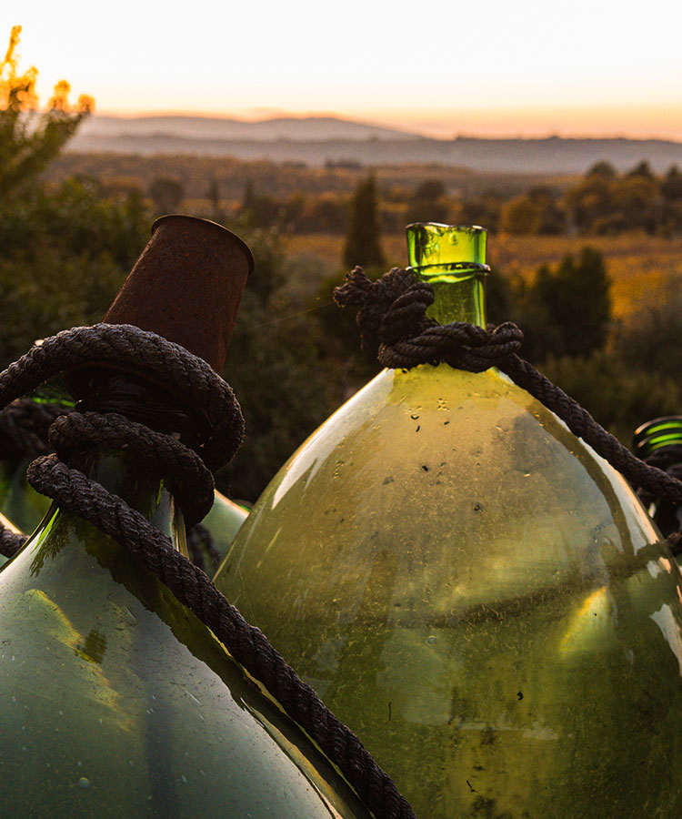 Why Some Old Wines Were Sealed With Olive Oil