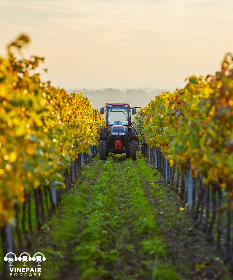 The VinePair Podcast: The Wine World’s Worst Cliché