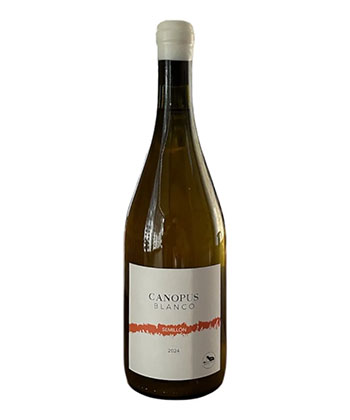 Canopus Blanco Semillon 2024 is a white wine that offers the best bang for your buck, according to sommeliers.