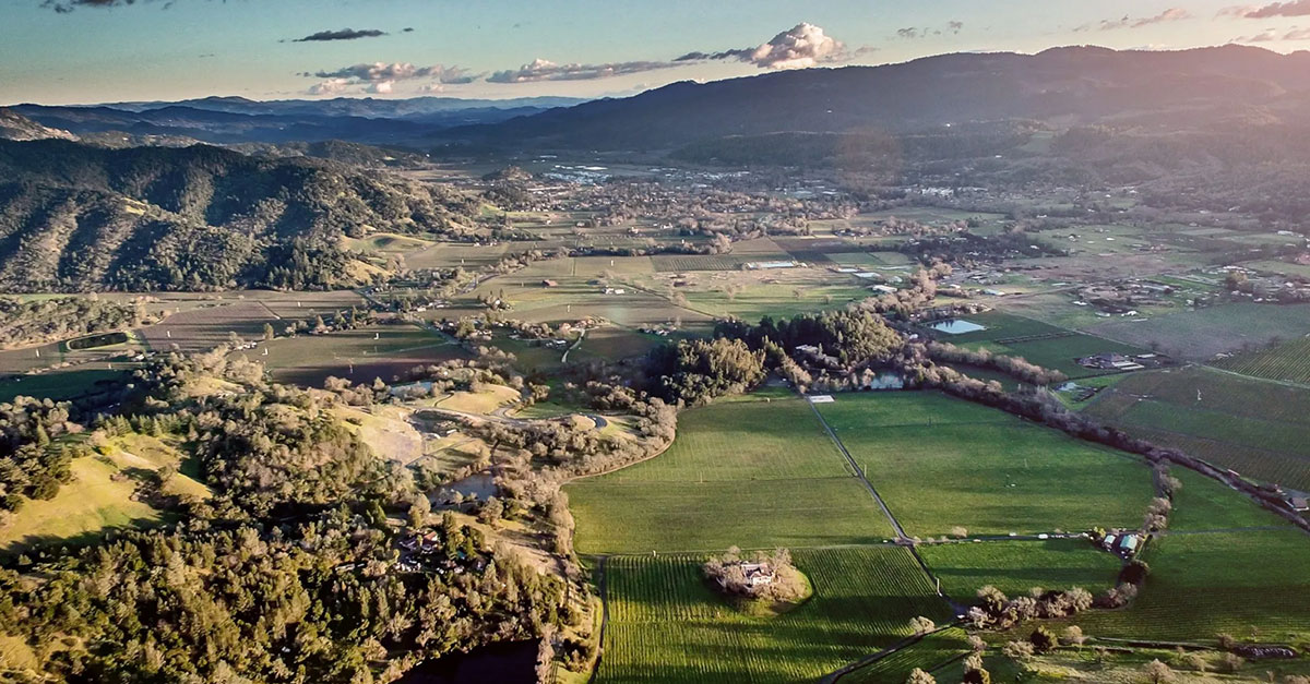 Wine 101: Chateau Montelena Part IV