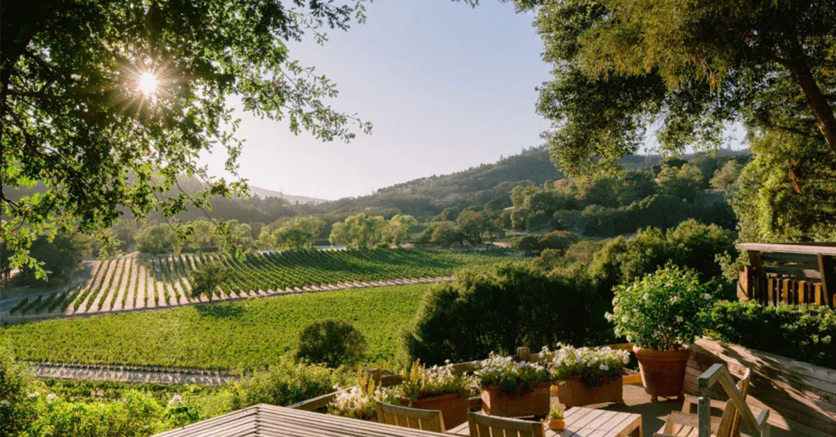 Wine 101: Joseph Phelps Vineyards