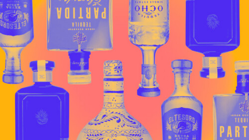 We Asked 15 Bartenders: Which Tequila Is Worth the Splurge?
