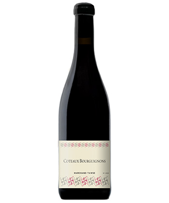 Marchand-Tawse Coteaux Bourguignons 2023 is one of the best red Burgundies that isn't Pinot Noir.
