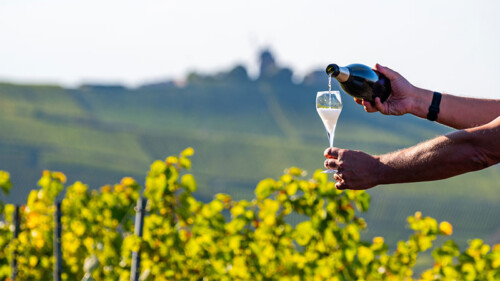 10 of Champagne’s Most Legendary Vintages