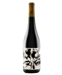 Lightwell Survey Los Idiots