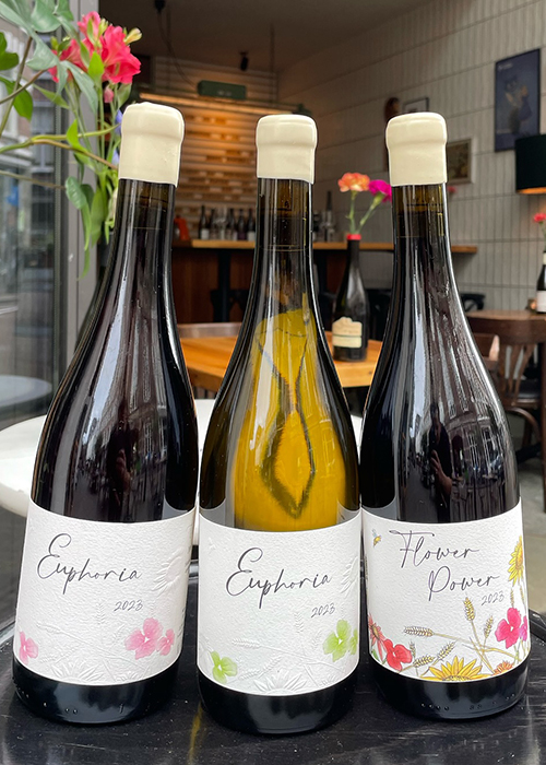 Jérémy Carteret is a next-generation Burgundy winemaker.