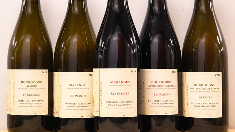 Domaine de Cassiopée is a new-generation Burgundy winemaker.