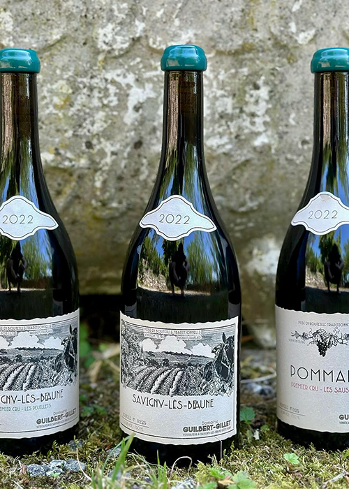 Guilbert Gillet is a new-generation Burgundy winemaker.