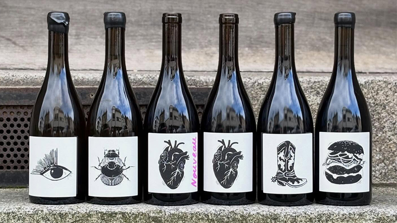 Vin Noé is a next-generation Burgundy winemaker.