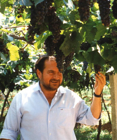 Will There Ever Be Another Michel Rolland? Where Wine Consulting Stands After the Loss of the First Flying Winemaker
