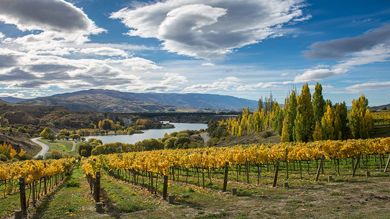 Central Otago, New Zealand, is one of the best wine destinations for 2026.