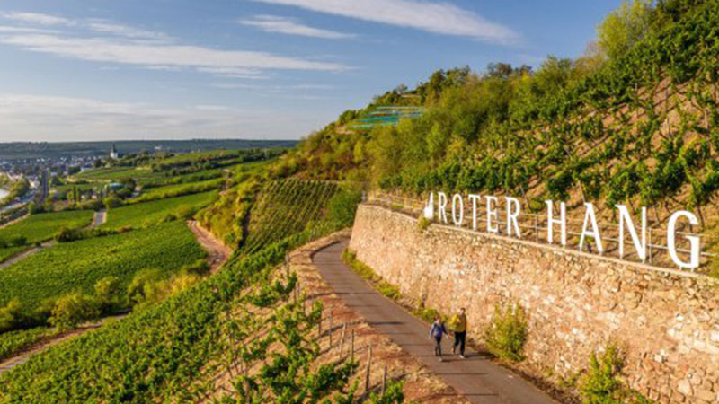 Rheinhessen, Germany, is one of the best wine destinations for 2026.