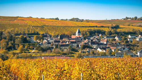 5 Alternatives to Sancerre, the Loire Valley Sauvignon Blanc Rising in Popularity (and Price)