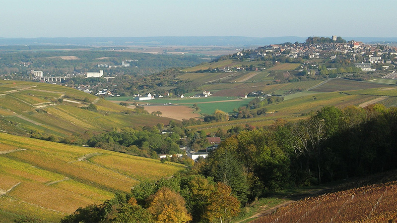 Menetou-Salon is an alternative to Sancerre, the ultra-popular Sauvignon Blanc.