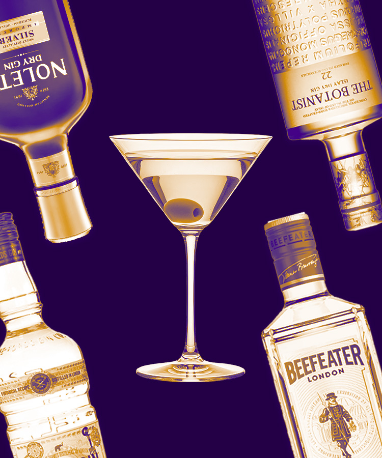 The Best Gin for Each Martini Variation, According to Bartenders
