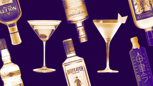 The Best Gin for Each Martini Variation, According to Bartenders