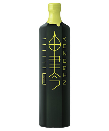 Kyoya YUZUGIN is one of the best gins for a classic Martini, according to bartenders.