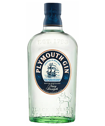 Plymouth Navy Strength is one of the best gins for a 50/50 Martini, according to bartenders.