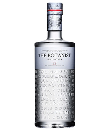 The Botanist is one of the best gins for a classic Martini, according to bartenders.