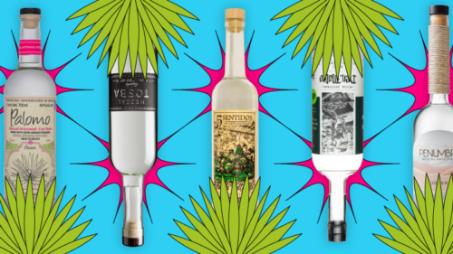 The 20 Best Mezcals for 2026
